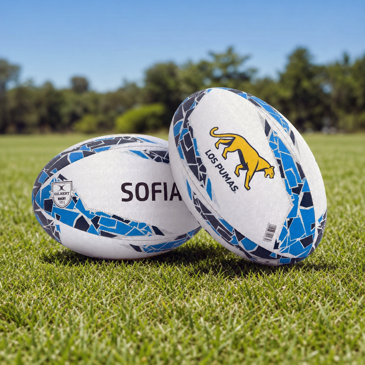 Personalised Argentina Rugby Supporter Ball